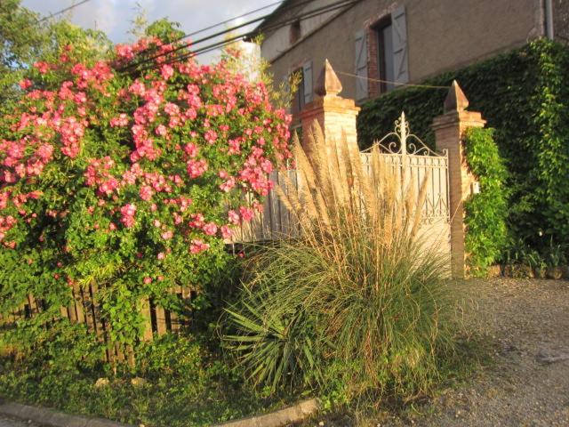 Bed and Breakfast La Demeure De La Coste Vieux  Esterno foto